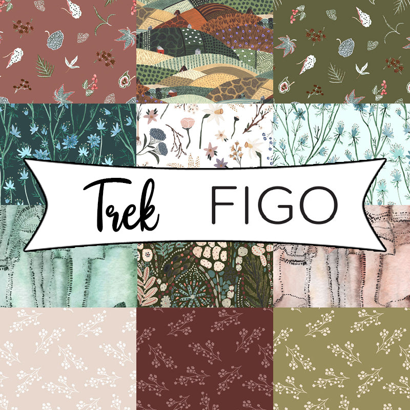 Trek by Boccaccini Meadows for Figo Fabrics