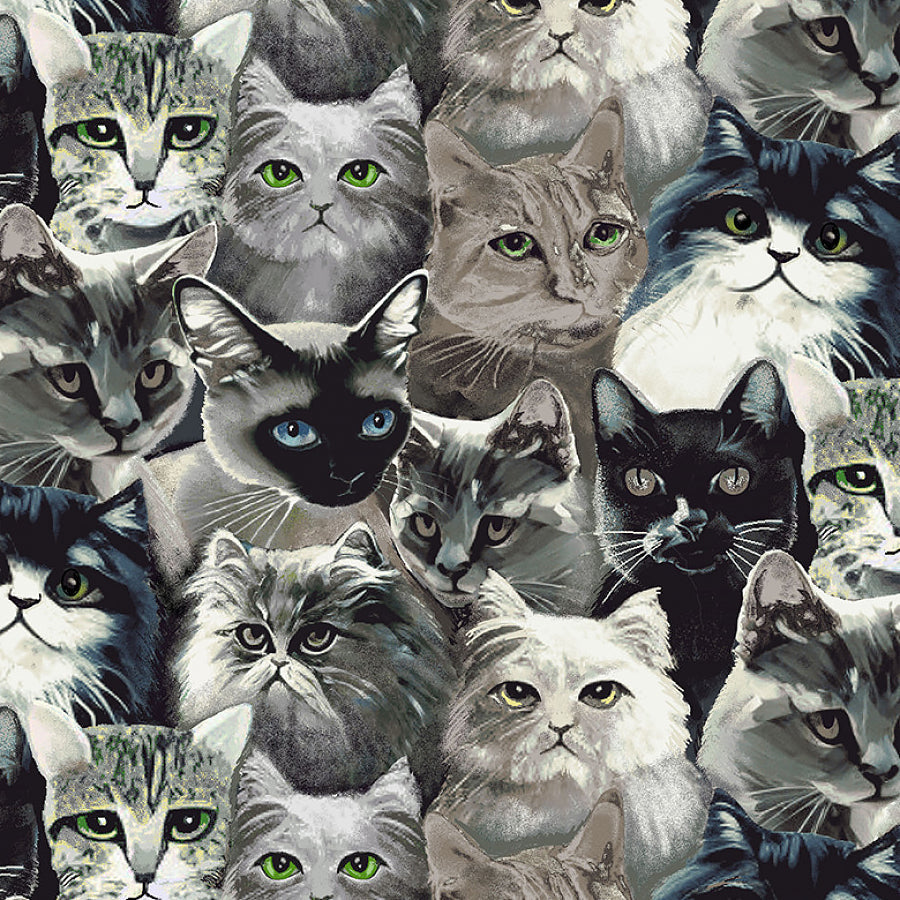 Catsup Cat Faces Black/Gray
