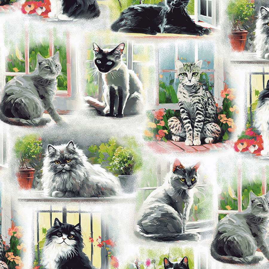 Catsup All Cats Gray/Multi