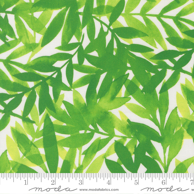 Radiant Leaves Grass