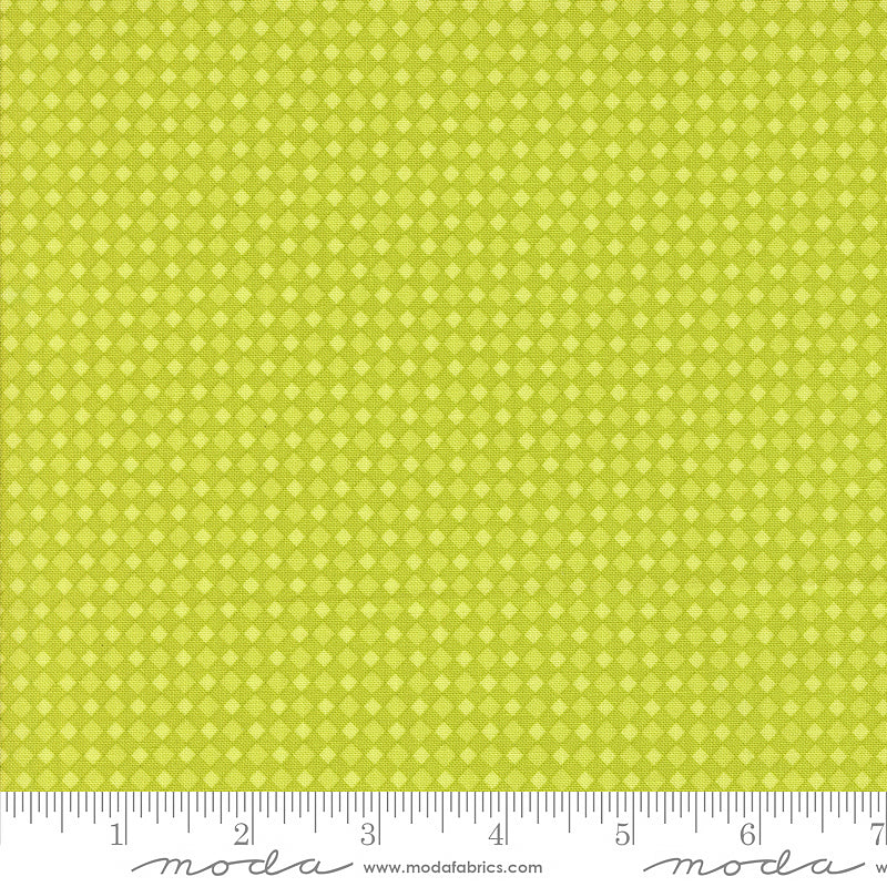 Fab-Boo-Lous Spooky Gingham Green Slime