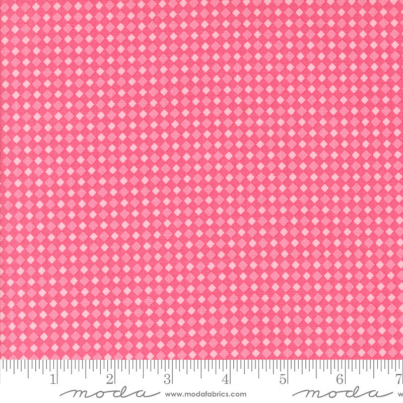 Fab-Boo-Lous Spooky Gingham Hot Pink