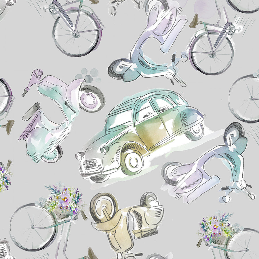 Lost in Paris La Voiture Gray