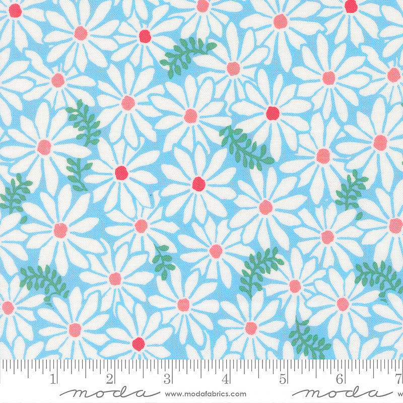 Reef Bloom Sky