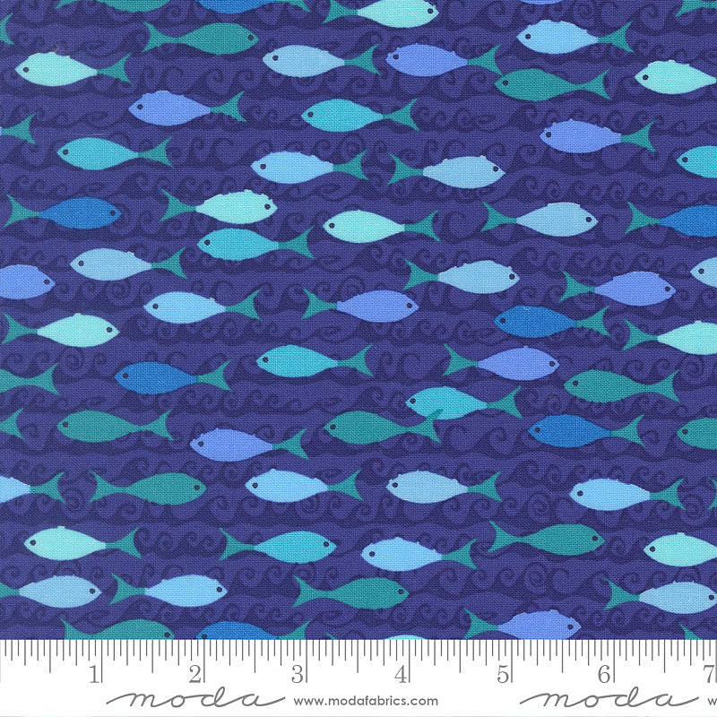 Reef School of Fish Seafoam