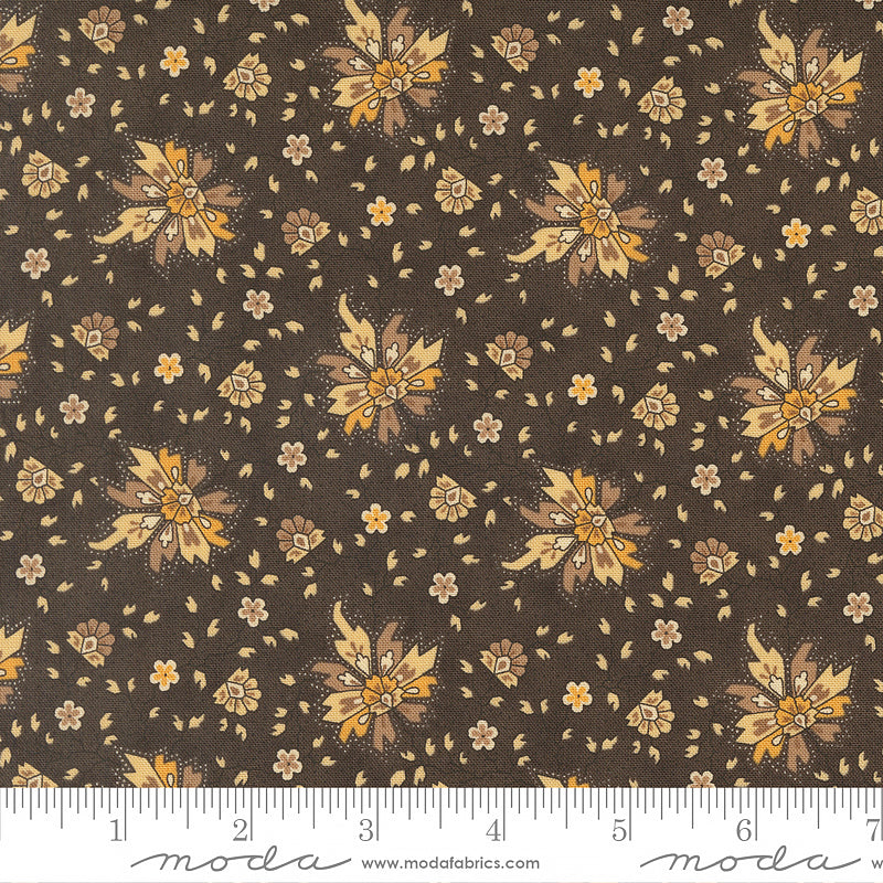 Wild Orchid Floral Blooms Tree Bark