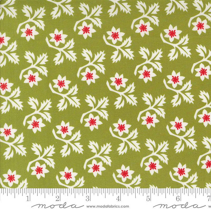 Buon Natale Christmas Florals Pine