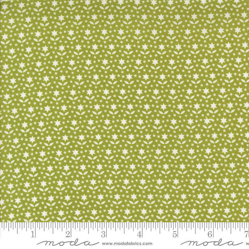 Buon Natale Star Blooms Pine