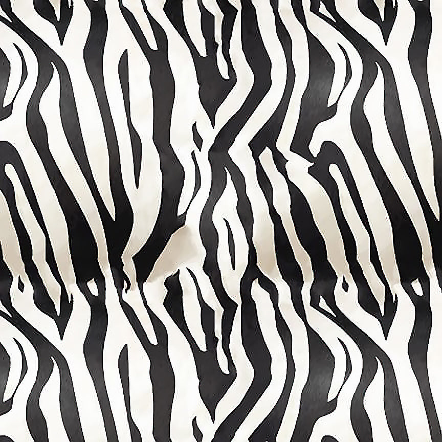 Safari Sights Zebra Black/White