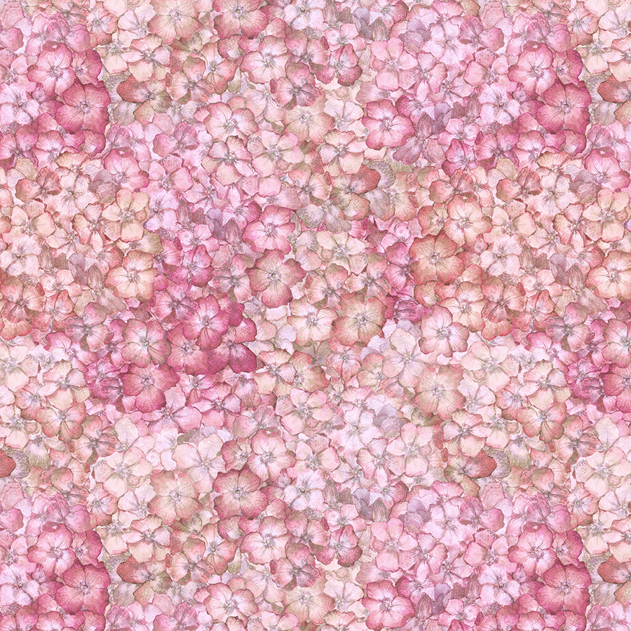 Hydrangea Mist Packed Hydrangeas Pink