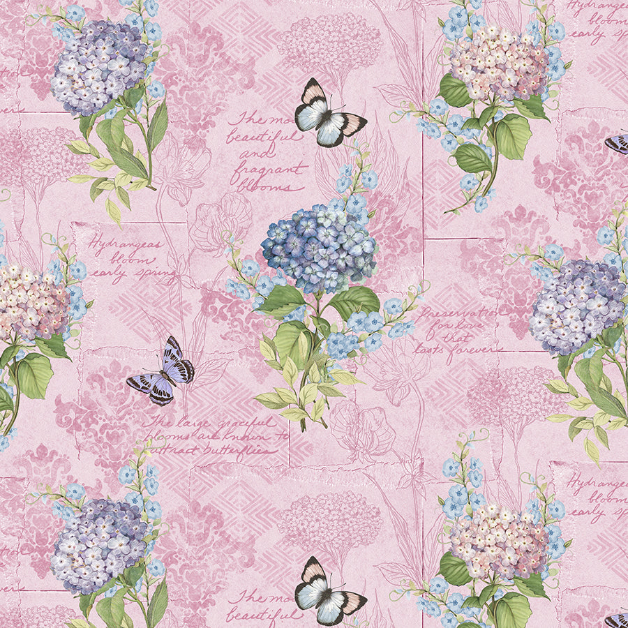 Hydrangea Mist Monograph Pink