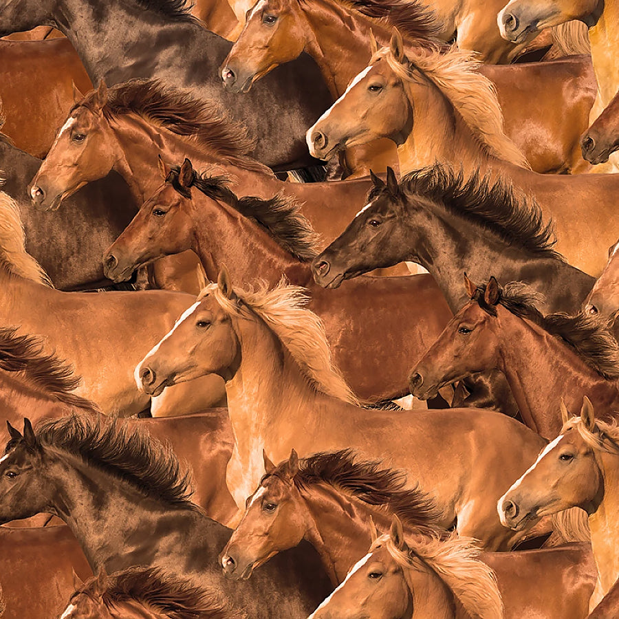 Spurs & Spirits Horses Brown