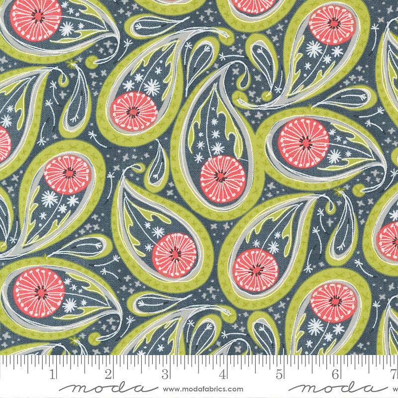 Dandi Duo Paisley Graphite
