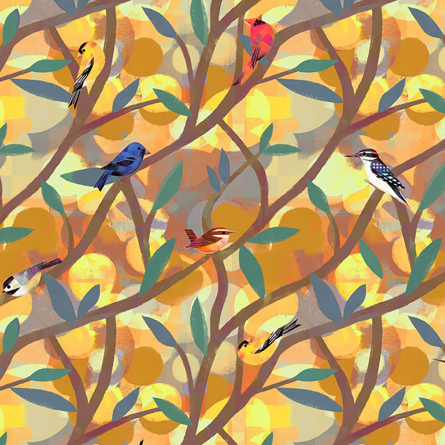 Wild North North America Birds Sunrise