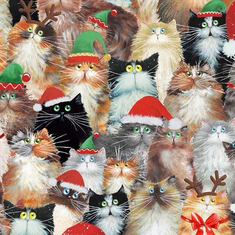 Meowy Christmas Cats in Hats Multi