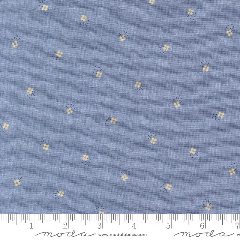 Bluebird's Nest Comets Light Blue