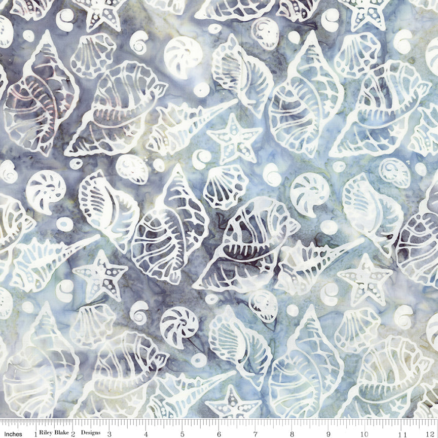 Expressions Batiks Places You'll Go Shells Pebble Pastiche