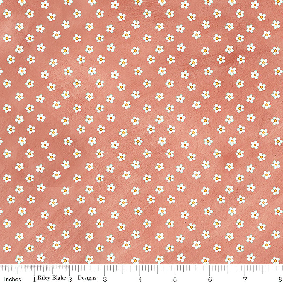 Hop Hop Hooray Daisies Coral