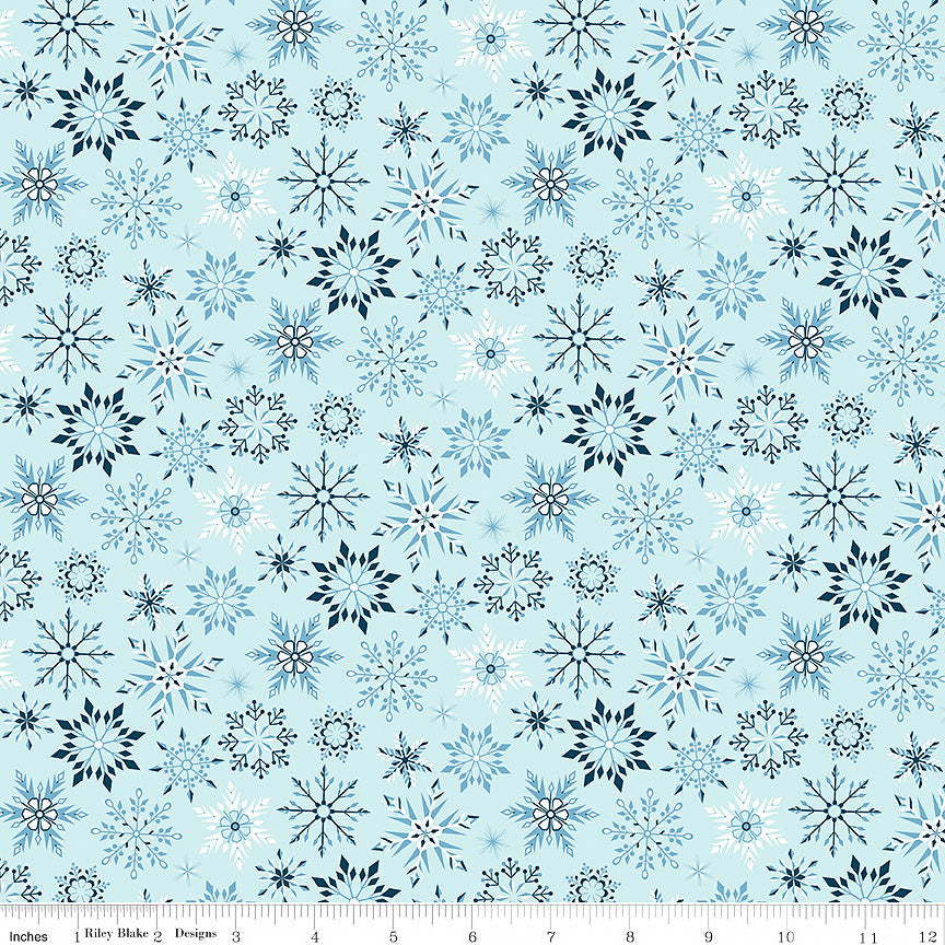 Winter Magic Snowflakes Aqua