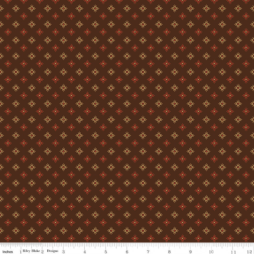 John Wayne American West Sun Brown