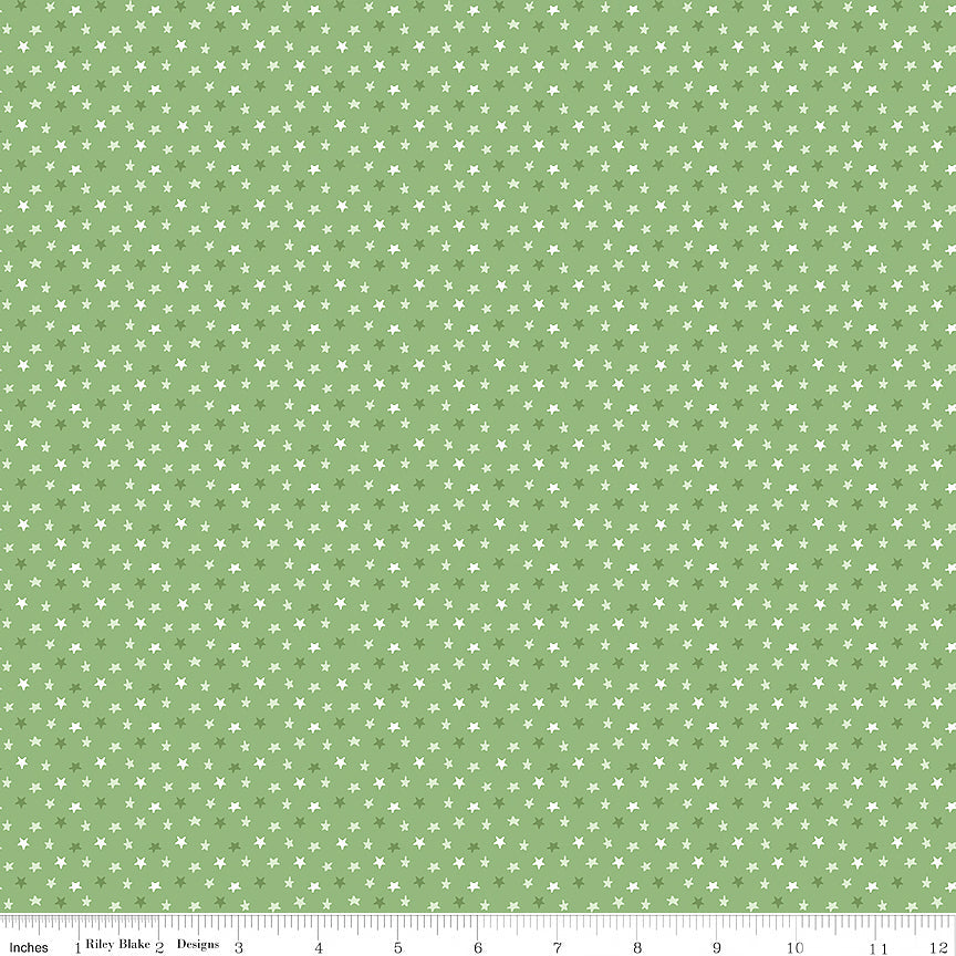 Baby Boy Stars Basil