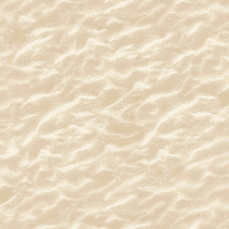 Beach Comber Sand Dunes Natural