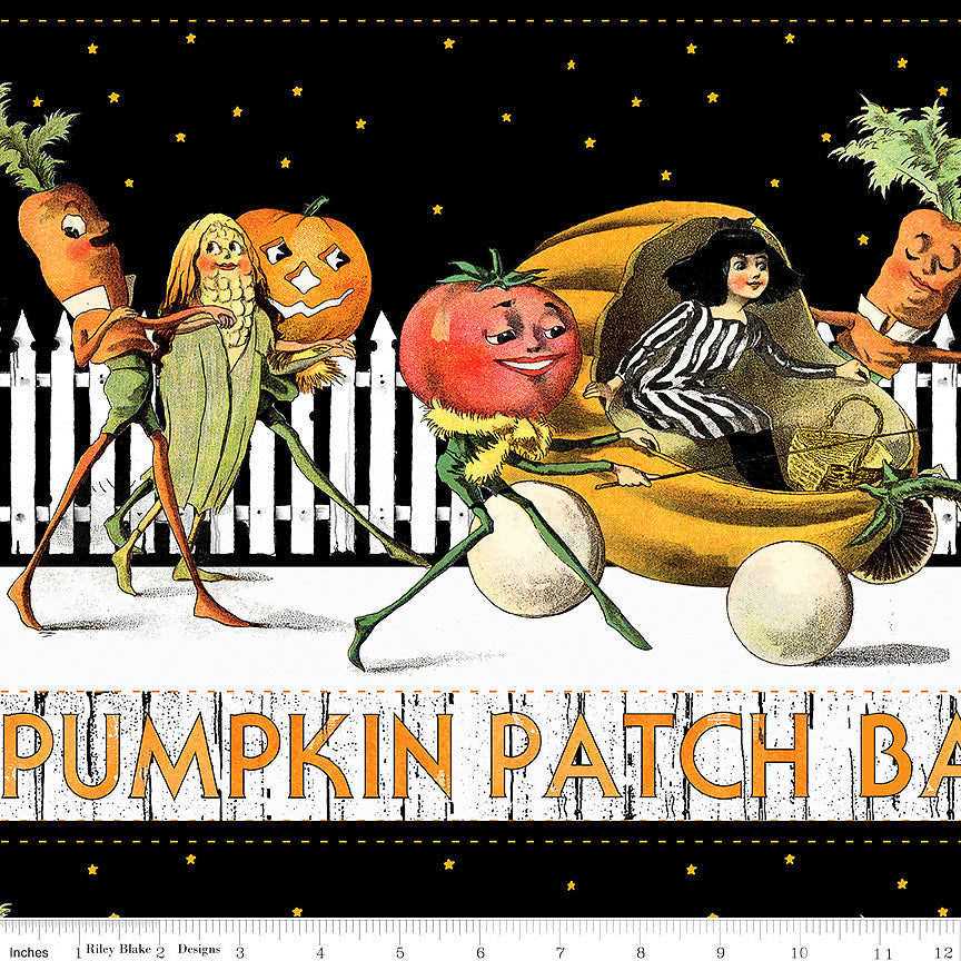 Pumpkin Patch Barn Dance Border Stripe White