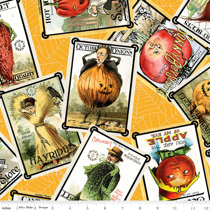 Pumpkin Patch Seed Packs Toss Orange