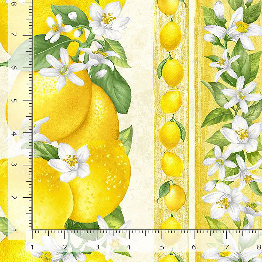 Lemon Bouquet Border Stripe Lemon
