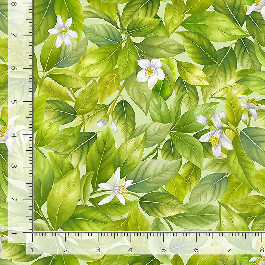 Lemon Bouquet Packed Leaves Green