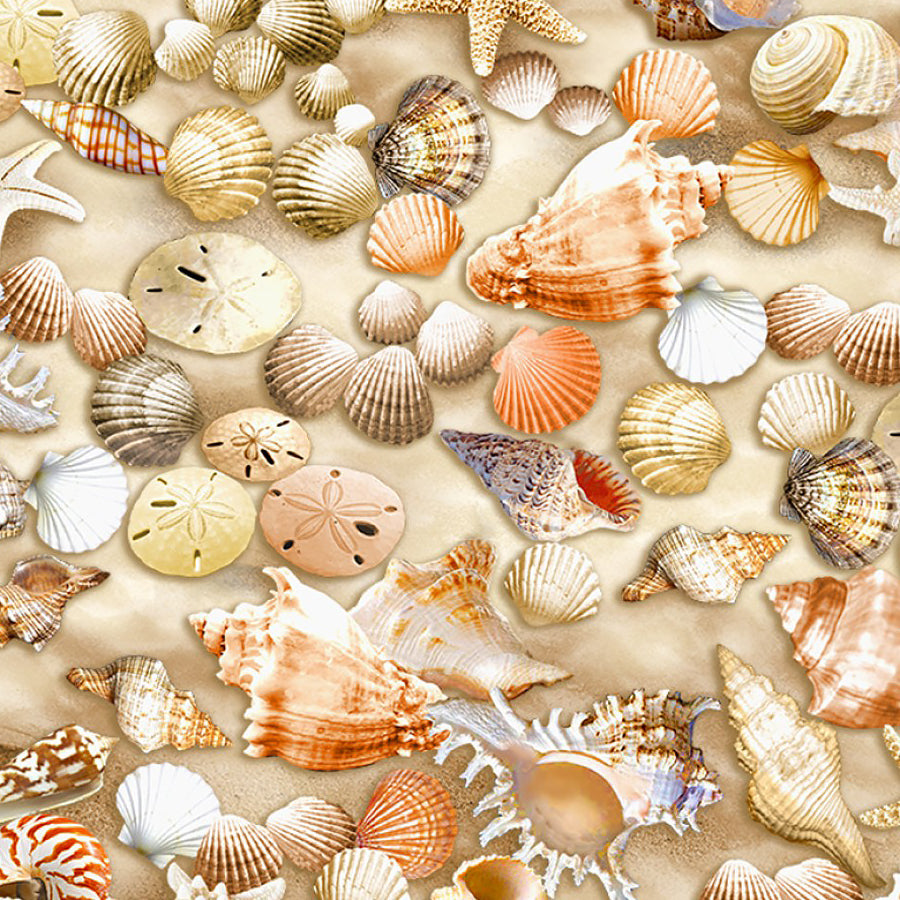 Beach Comber Shells Multi