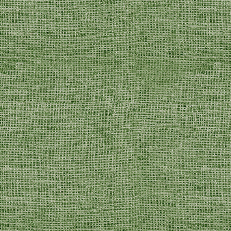 Burlap Texture Aloe