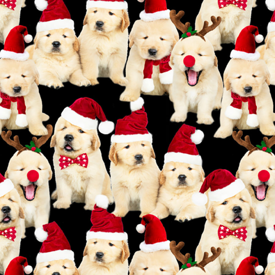 Holiday Favorites Lab Puppies Black