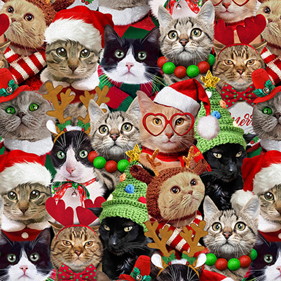 Holiday Favorites Packed Cats Holiday