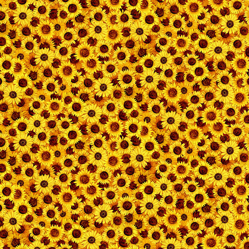 Sunflower Symphony Packed Sunflowers Yellow