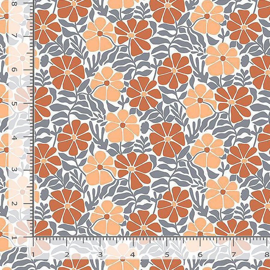 Full Moon Desert Bloom White