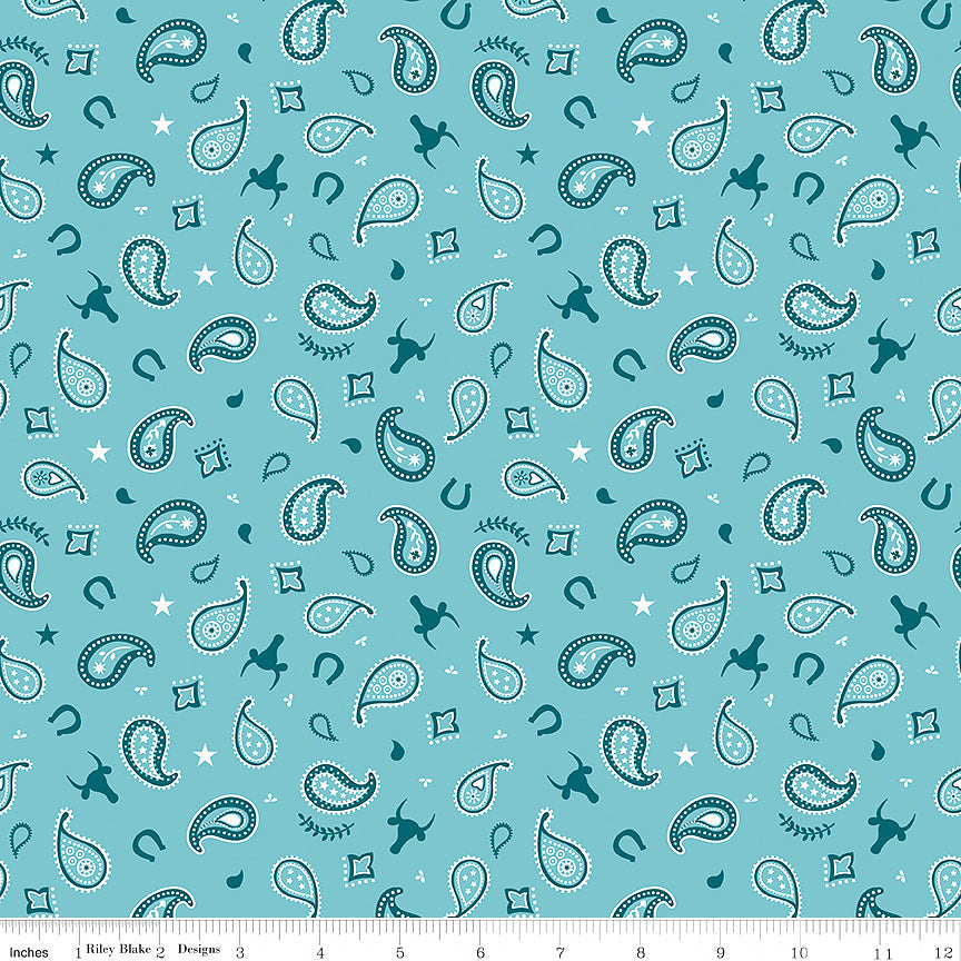 Designer Flannel Lil Buckaroos Paisley Aqua