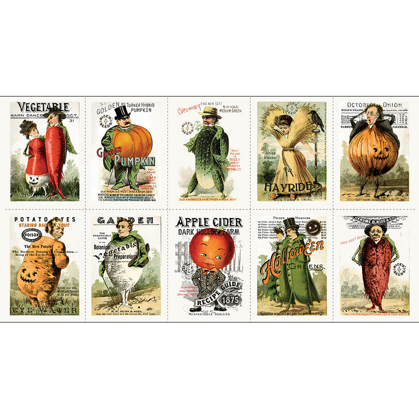 Pumpkin Patch 24" Seedy Characters Panel Multi