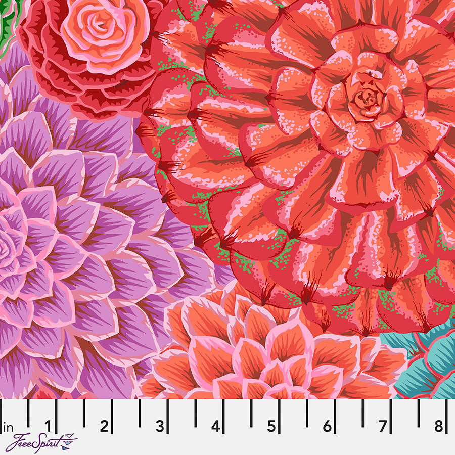 Kaffe Fassett Collective House Leeks Pink