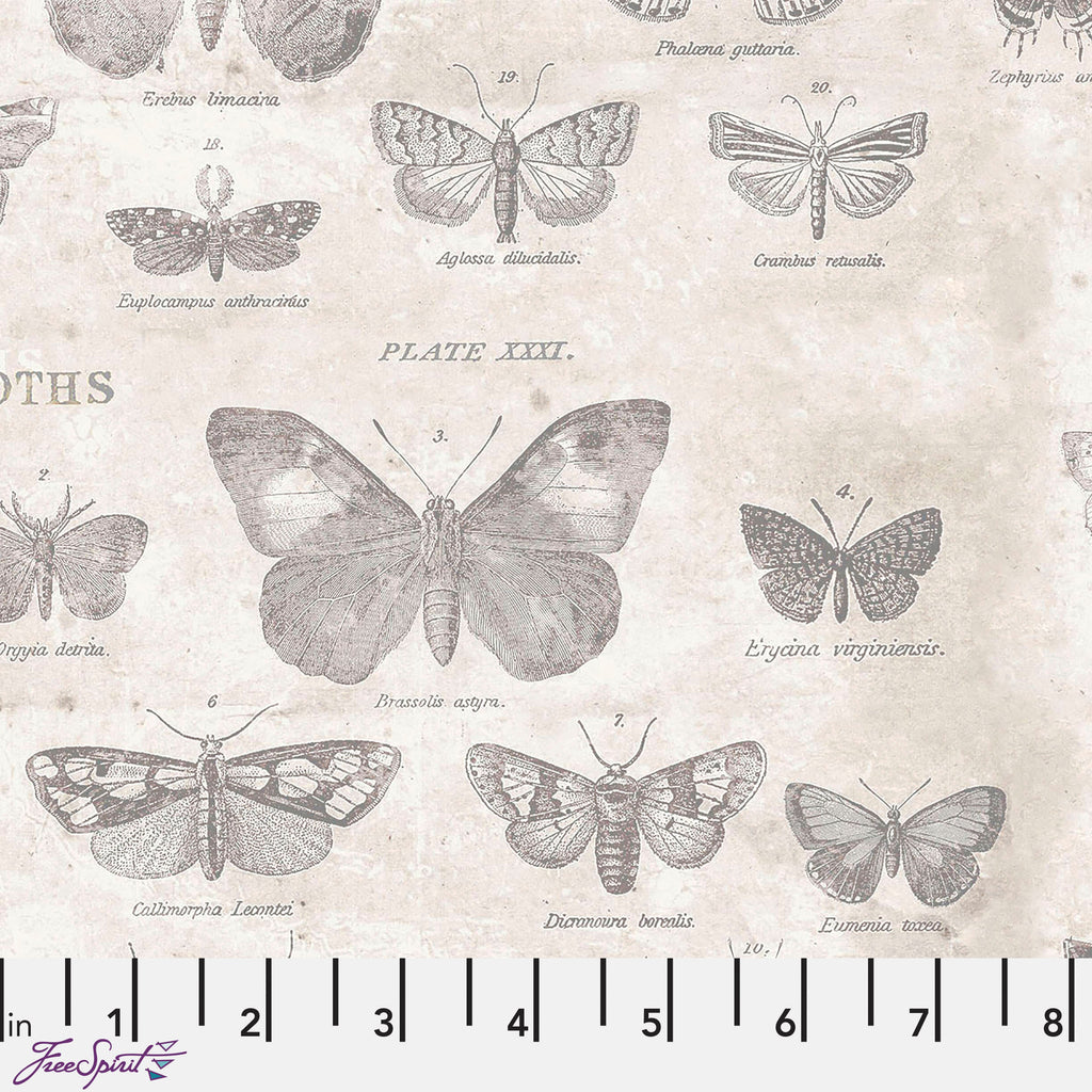 Monochrome Butterflies Parchment