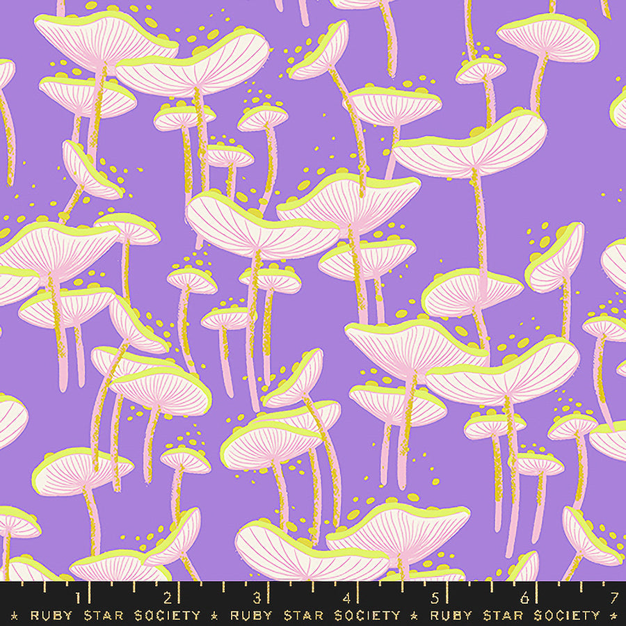 Glow Garden Whimsy Mushrooms Amethyst