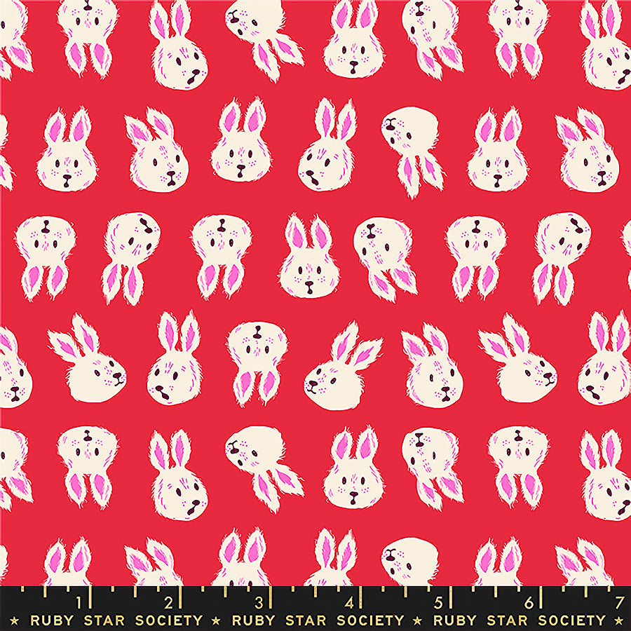 Hello Alice Rushing Rabbits Ruby