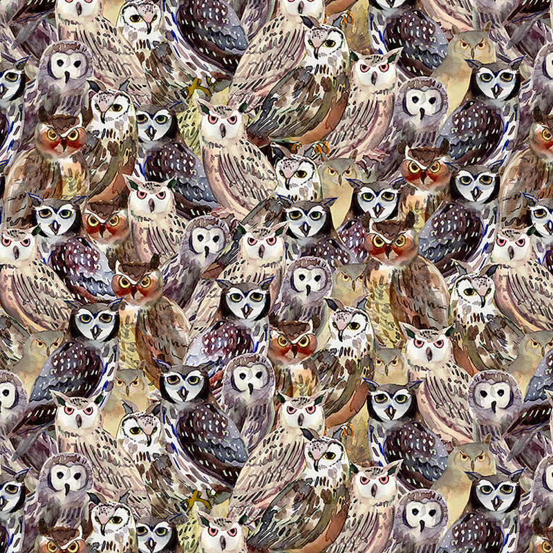 Wild Wonder Packed Owls Multi