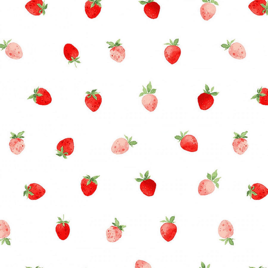 Berry Sweet Mini Strawberries White