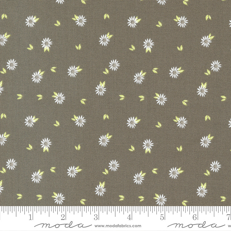 Favorite Things Chamomile Ditsy Charcoal
