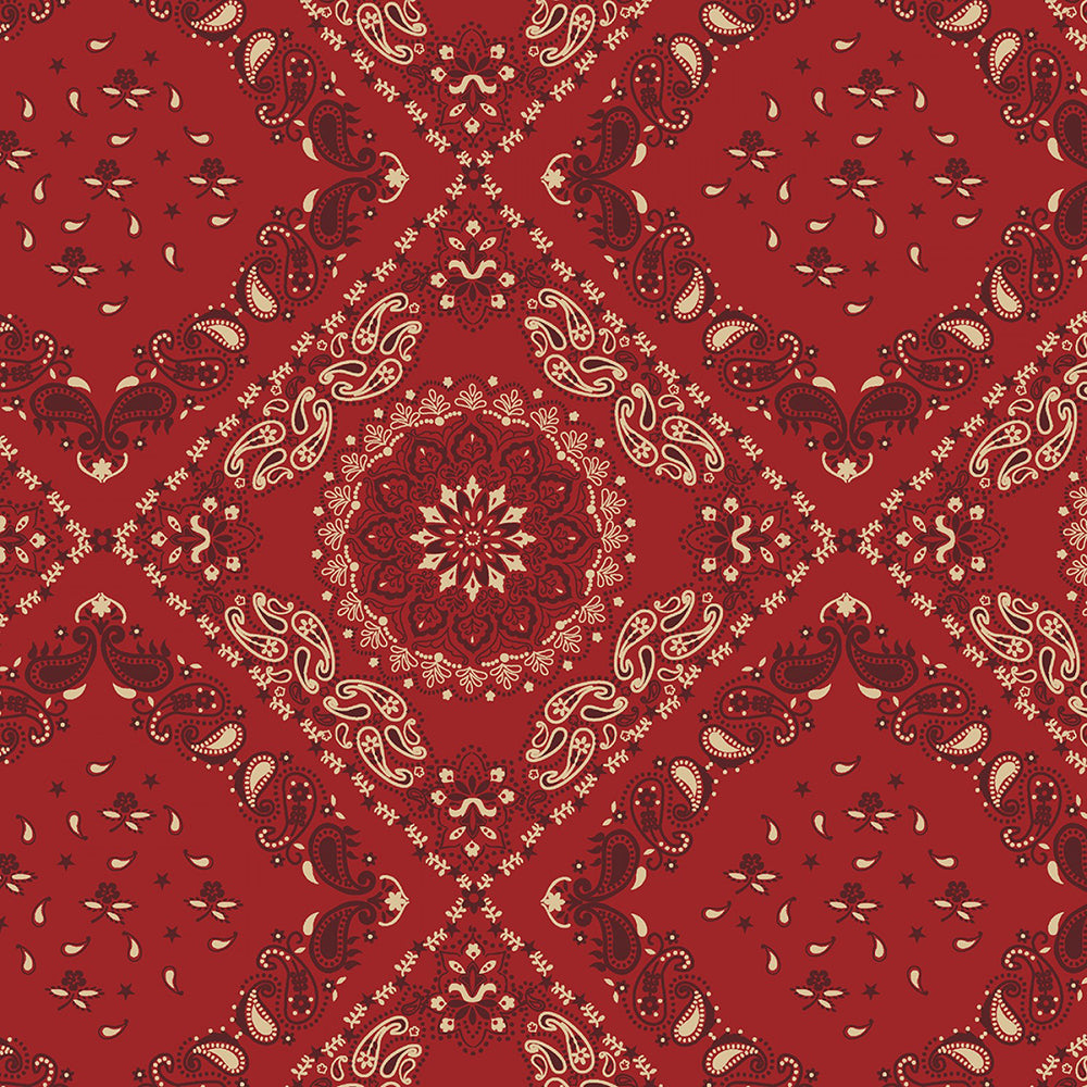 108" Wide Quilt Backing Paisley Red