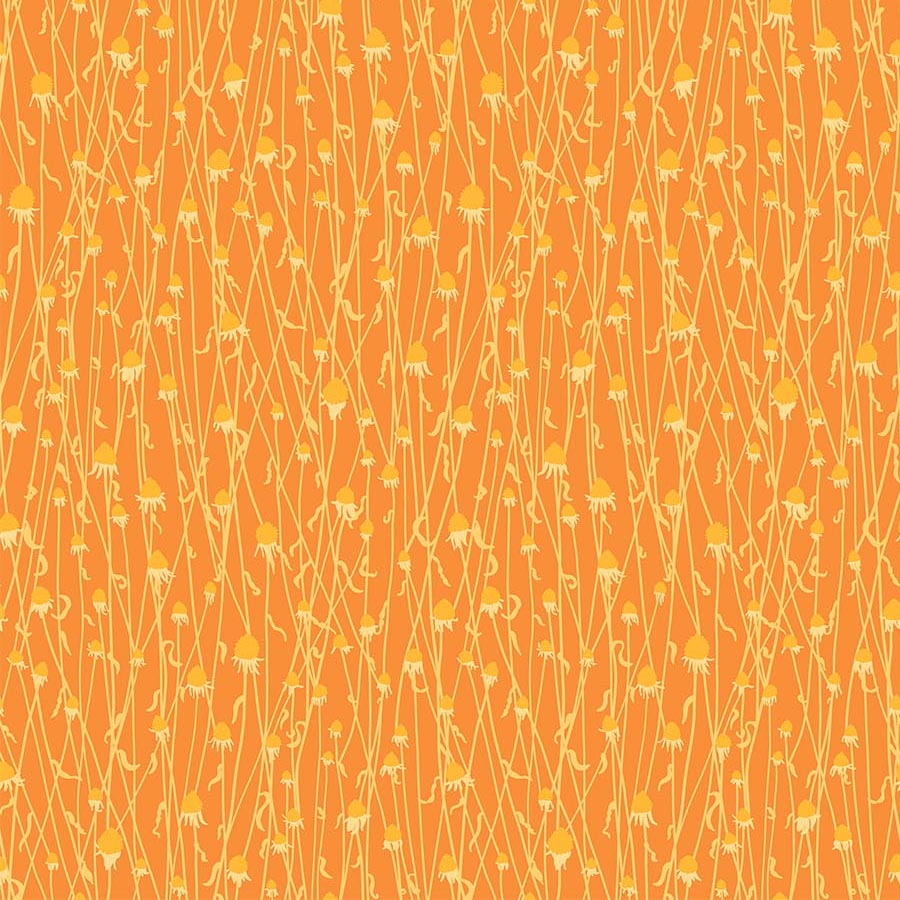 Splendor Dry Flowers Orange